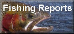 Colorado fishing reports
